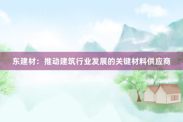 东建材：推动建筑行业发展的关键材料供应商